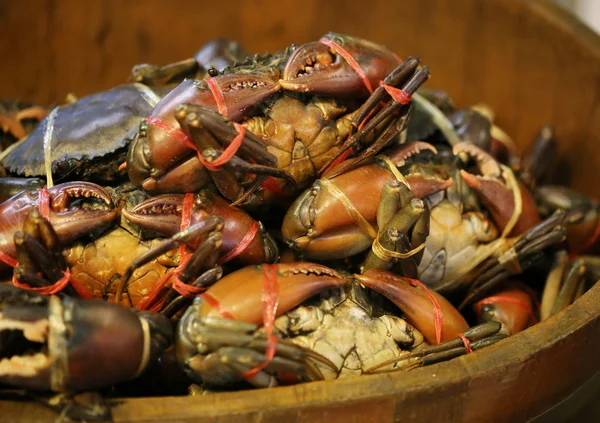 Krab v dřevěných pot — Stock fotografie