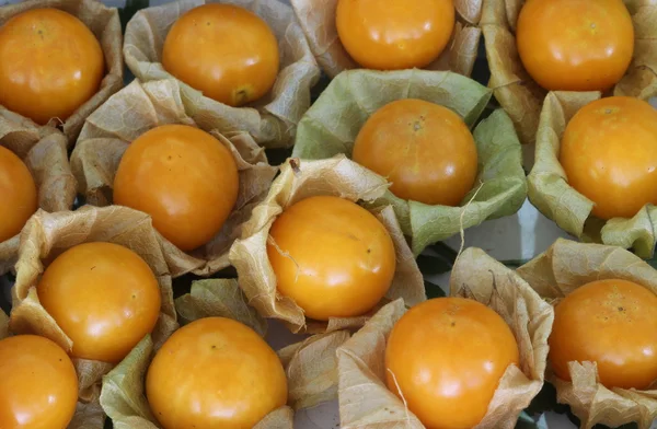 Clsoe hasta fondo de Cape Gooseberry — Foto de Stock