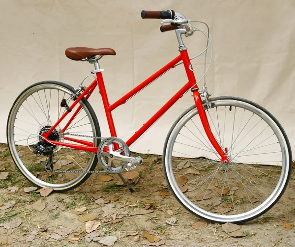間近で手が自転車のハンドルを保持します。 — ストック写真