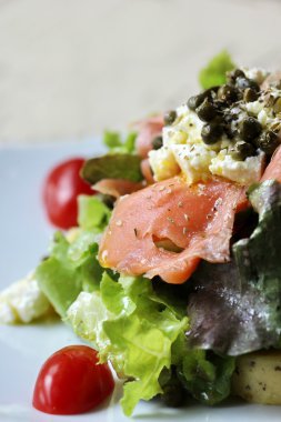 Makro Çiğ somon salatası kapatın