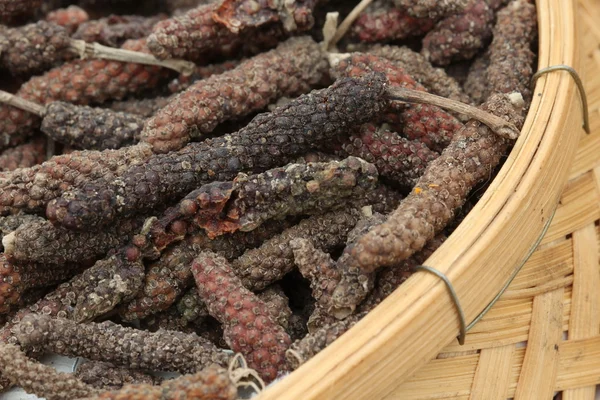 Close up seasoning in basket, Thailand — Stock Photo, Image