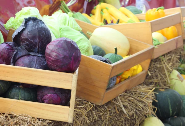 Close up mixed fruit and vegetable — Stock Photo, Image