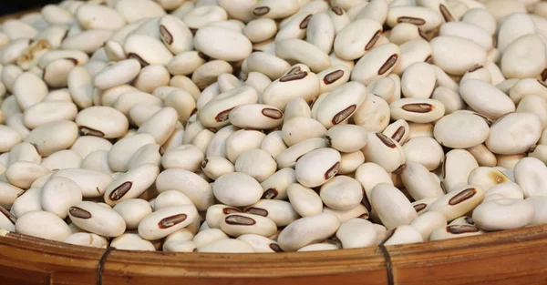 Clsoe up white bean background — Stock Photo, Image