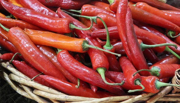 Close up red chili in basket — Stock Photo, Image