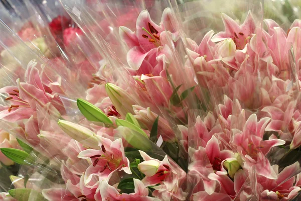 Çiçekçi dükkanı pazarında kapatın — Stok fotoğraf