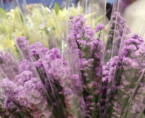 Close up flower shop in market — Stock Photo, Image