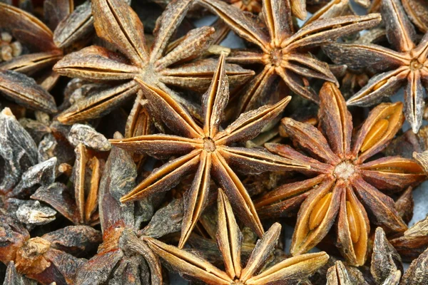 Close up Anise in Thailand — Stock Photo, Image