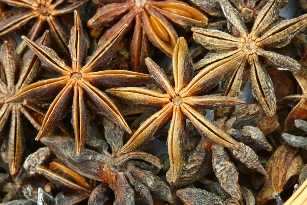 Close up Anise in Thailand — Stock Photo, Image