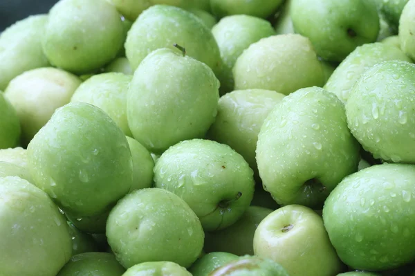 Monkey apple, green fruit in Thailand — Stock Photo, Image