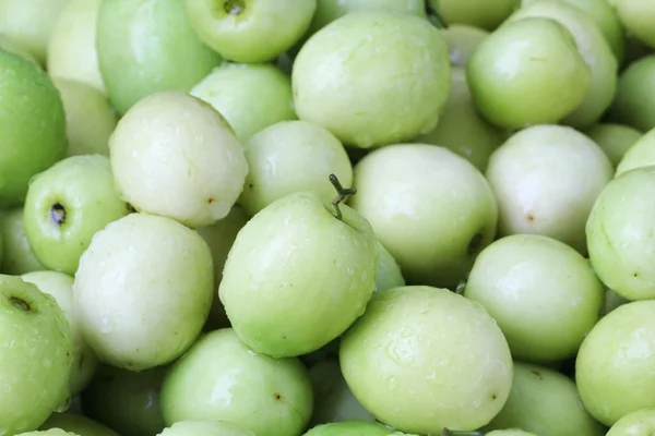 Monkey apple, green fruit in Thailand — Stock Photo, Image