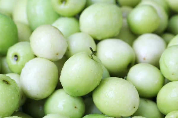 Monkey apple, green fruit in Thailand — Stock Photo, Image