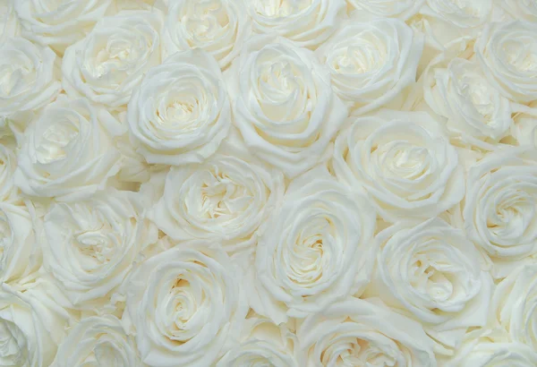 Bouquet white rose — Stock Photo, Image