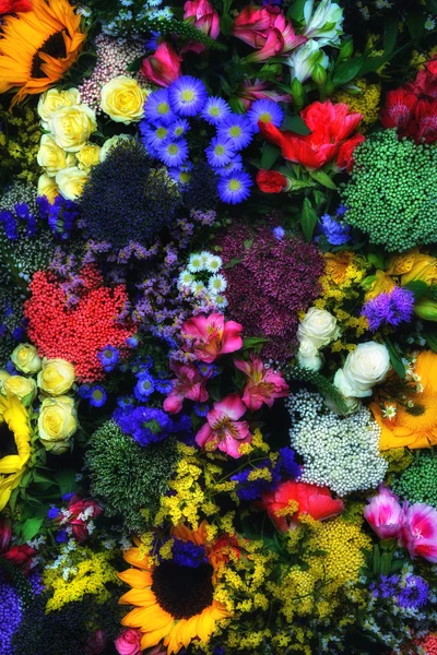 色とりどりの花が — ストック写真