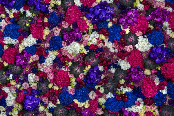 Színes virágok — Stock Fotó