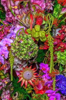 arka planı renkli çiçekler