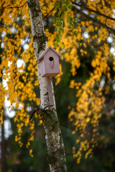 Casa de pájaros en el árbol — Foto de Stock