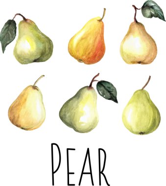  Parlak sulu armutlar.