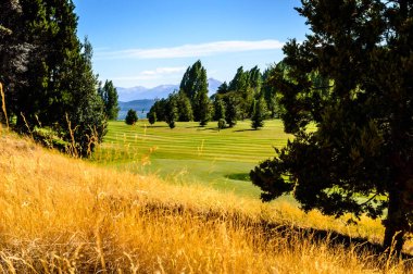 Öğleden sonra Bariloche 'deki golf sahasında. Yaz günü ve golf. Çamlar ve dağlar.