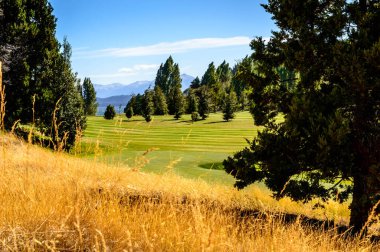 Öğleden sonra Bariloche 'deki golf sahasında. Yaz günü ve golf. Çamlar ve dağlar.