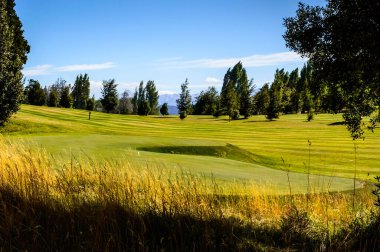 Öğleden sonra Bariloche 'deki golf sahasında. Yaz günü ve golf. Çamlar ve dağlar.
