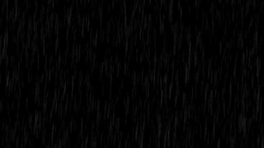 Şiddetli bir yağmur animasyonu. Siyah arkaplanda izole. 