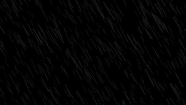 Animación Efecto Lluvia Fuerte Aislado Sobre Fondo Negro — Vídeo de stock