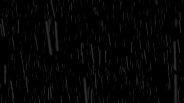 Animación Fuertes Lluvias Cayendo Aislado Sobre Fondo Negro — Vídeos de Stock
