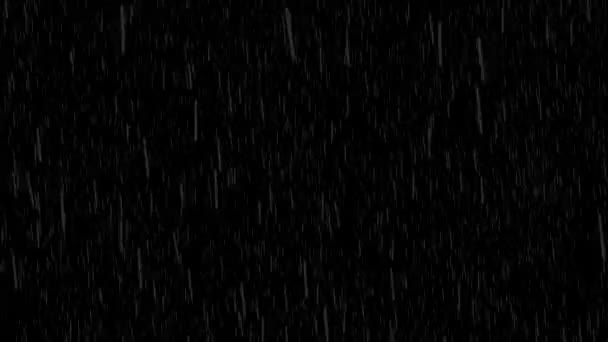Animación Lluvia Cayendo Aislado Sobre Fondo Negro — Vídeo de stock