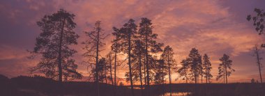 Orman gölünün üzerinde gün batımı