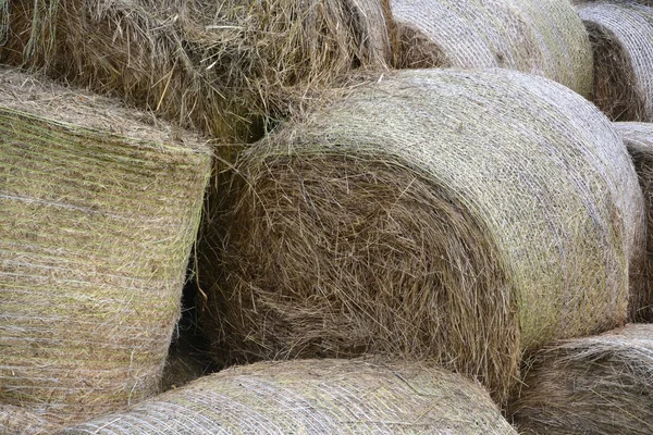 Fardos de feno na fazenda — Fotografia de Stock