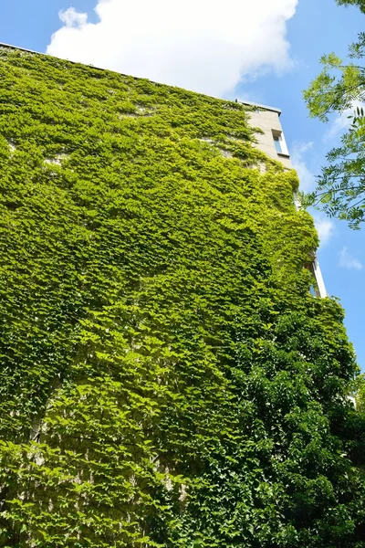 Urban hus med väggar — Stockfoto