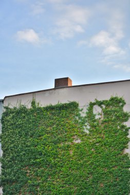 Posterler yırtık soyut