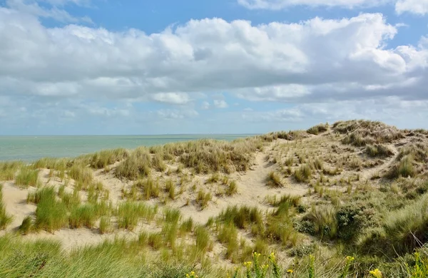 Beautiful sand dunes — Stock Photo, Image