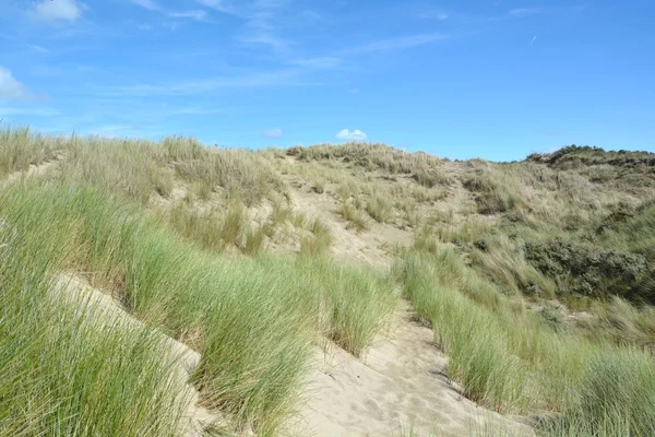 Lindas dunas de areia — Fotografia de Stock