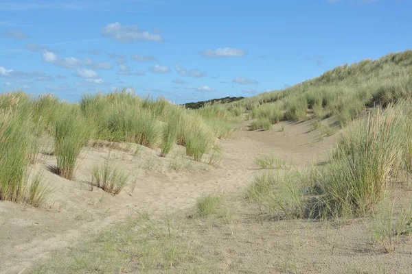 Lindas dunas de areia — Fotografia de Stock