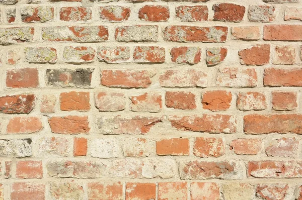 Alte Ziegelmauer — Stockfoto