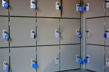 Bagaj Muhafazası için güvenli Kasalar