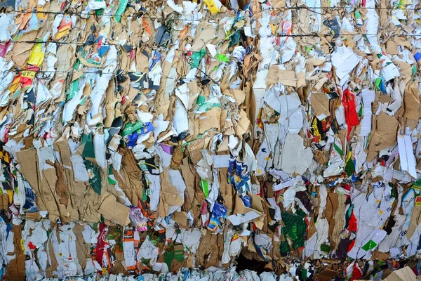 Papel e cartão compactados para reciclagem — Fotografia de Stock