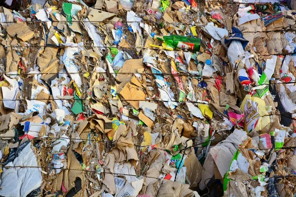 Papel e cartão compactados para reciclagem — Fotografia de Stock