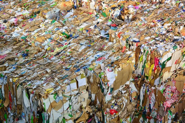 Papier i tektura skompresowane do recyklingu — Zdjęcie stockowe