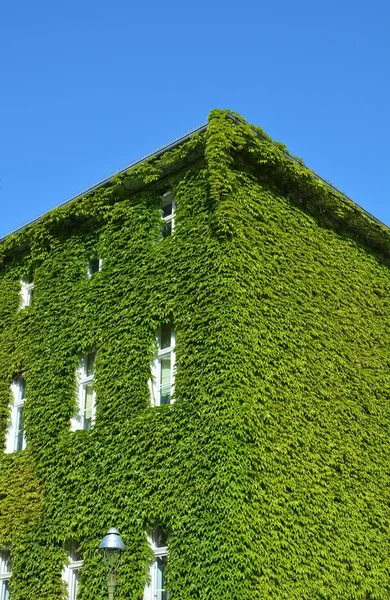 Hus med väggar — Stockfoto