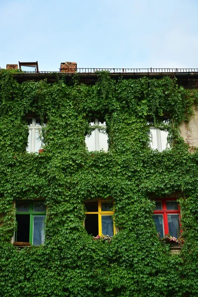緑の壁の家 — ストック写真