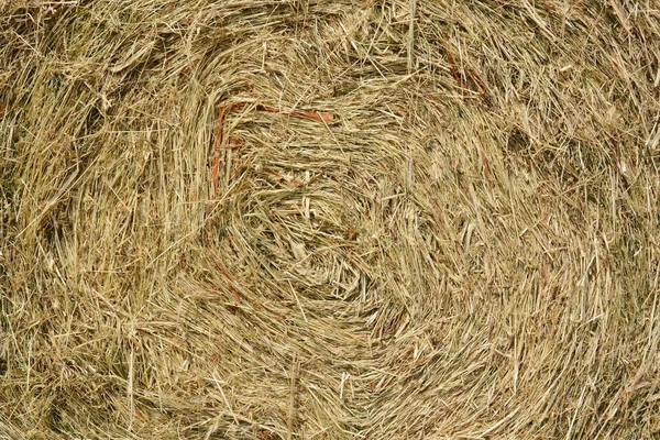 Hay bale as natural background — Stock Photo, Image