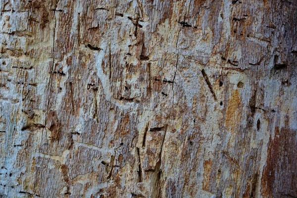 Holzoberfläche mit abstrakten Mustern — Stockfoto