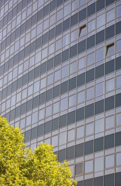 Modern ofis binasının cam cephesi