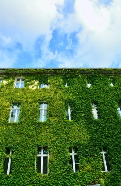 緑の壁都市住宅 — ストック写真