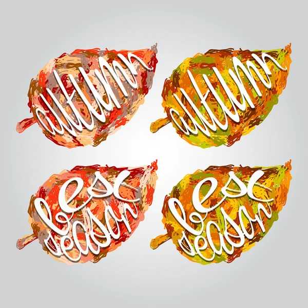 Collection beautiful colourful autumn leaves — Stock Vector