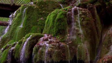 Yeşil yosun dolu eşsiz Bigar şelalesi Bozovici, Caras-Severin, Romanya.