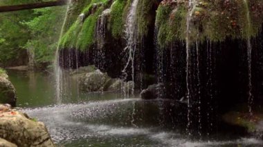 Yeşil yosun dolu eşsiz Bigar şelalesi Bozovici, Caras-Severin, Romanya.
