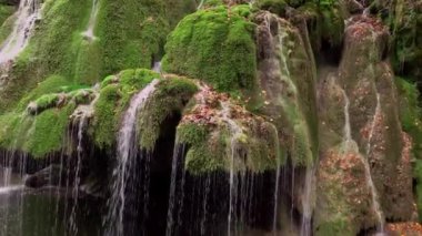Yeşil yosun dolu eşsiz Bigar şelalesi Bozovici, Caras-Severin, Romanya.